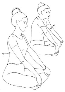 lungs and the bloodstraem